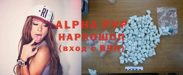 индика Алексин