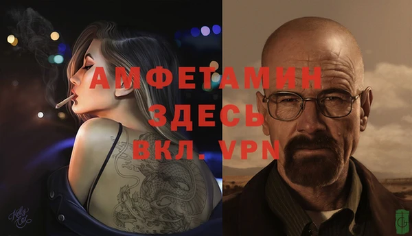 индика Алексин
