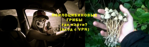 индика Алексин