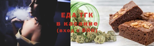 индика Алексин