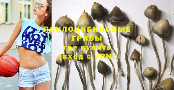ешки Абаза
