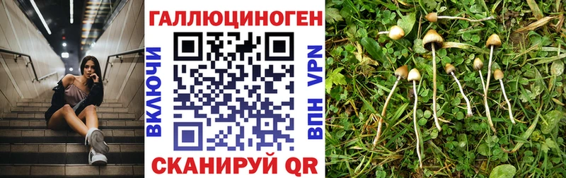 Галлюциногенные грибы Cubensis  наркошоп  Егорьевск 