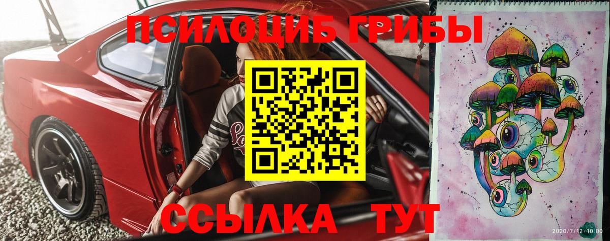 Егорьевск  Псилоцибиновые грибы Cubensis  Вход с VPN 